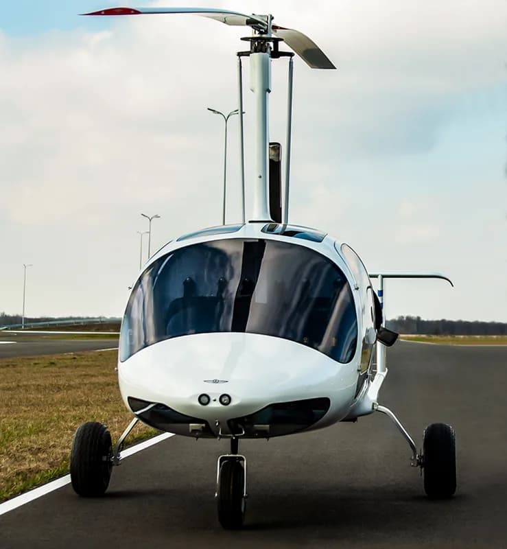 AviaLitewings product photo